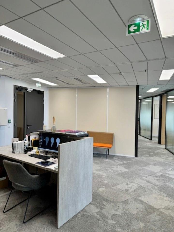 Bureau Lyon 250m² Location bureau Lyon Rhône OLBUR2533773 5